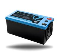 LiFePO4 Batteria 12V 24V 36V 48V - 50Ah 100AH 200Ah 300Ah 400Ah Bluetooth/LED
