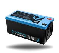 LiFePO4 Batteria 12V 24V 36V 48V - 50Ah 100AH 200Ah 300Ah 400Ah Bluetooth/LED