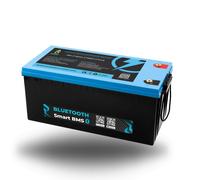 LiFePO4 Batteria 12V 24V 36V 48V - 50Ah 100AH 200Ah 300Ah 400Ah Bluetooth/LED