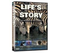 Lifes Story 2-Reason for the J - Lifes Story 2-Reason for the J