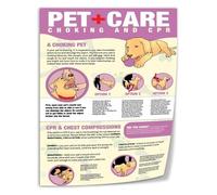 Lifesaving Dog First Aid Poster CPR and Heimlich Maneuver Quick Guide Waterproof Reference for Pet First Aid Kit(Unframed,08x12inch(20x30cm))