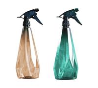 LIFKOME Annaffiatoio Spray per Parrucchiere e Giardino, Spruzzatore Pompa da Giardino 1l, Plastica Pp-pet Marrone, per Fiori e Auto, per Casa e Hairdressing