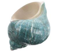 LIFKOME Conchiglia di Mare Naturale Grande per Collezione, Decorazione Marina e Centrotavola per Acquario, Ornamento a Tema Oceano e Artigianato