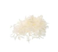 LIFKOME Imbottitura Materiale Confortevole Cuscini per in Piuma D'Anatra Naturale Bianca Facile da Modellare per Cuscini Decorativi e Piumoni