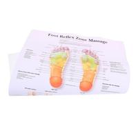 LIFKOME Poster Riflessologia Plantare per Professionisti Disegno del Piede Stampa Didattica Resistente e Facile da Pulire per Studio Medico e Aula