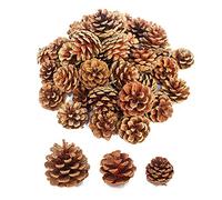 Lifreer - Set di 30 pigne essiccate naturali per albero di Natale, decorazione da appendere per le feste, per fai da te, colore: marrone, 3 misure