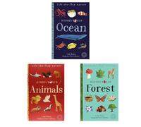 Lift the Flap Hidden World Series 3 Books Collection Set(Forest, Animals & Ocean)