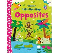 Felicity Brooks Lift-the-flap Opposites (Libro di cartone) Young Lift-the-flap
