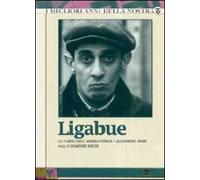 Ligabue (3 DVD)