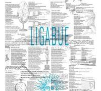 Ligabue by Ligabue
