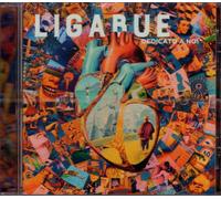 LIGABUE - Dedicato a noi (2023) CD