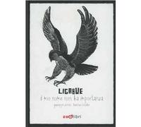 Ligabue. Il mio nome non ha importanza