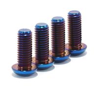 Light Bee X Viti di sottotelaio Bulloni per SUR RON per Segway X160 X260 E-Bike