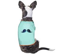 Light Crust Doughboys/ Senator Bob Deuell - Senator & The Doughboys: Swingin' The Capitol