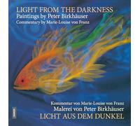 Light from the Darkness/ Licht Aus Dem Dunkel: The Paintings of Peter Birkhäuser