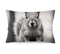 Light Gray Squirrel Federe Confezione Lavabili Fodere per Cuscini Cerniera Invisibile Copri Cuscino per Camera da Letto Interni Sedia 40X60Cm