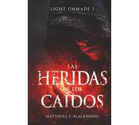 LIGHT UNMADE: Las heridas de los caídos