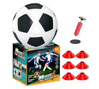 Light Up Soccer Ball Kids Outdoor Training Interactive Music Sports Toy