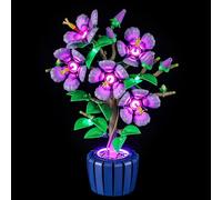 LIGHTAILING Set di Luci per Lego-10372 Ibisco Modello - Kit d'Éclairage LED Compatible avec les Modèles de Blocs de Construction Lego - Modèle Non Inclus