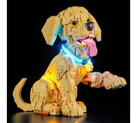LIGHTAILING Set di Luci per Lego-11384 Cucciolo di Golden Retriever - Kit d'Éclairage LED Compatible avec les Modèles de Blocs de Construction Lego - Modèle Non Inclus