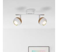Lightbox Faretto da soffitto a LED con luce bianca calda - Tubo spot a 2