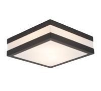 Lightbox Plafoniera da esterno 9 x 29 cm | Plafoniera da esterno a 2 fiamme | per patio o casetta da giardino | 2 prese E27 | in acciaio inox/plastica nei colori antracite/bianco