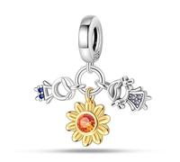 LIGHTDOG Charms in Argento 925,Compatibili con Braccialetti Europei e Braccialetti Pandora,Regali per Braccialetti Charm da donna per Ragazze Charms1