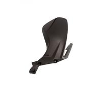 LIGHTECH PARAFANGO POSTERIORE CARBONIO LUCIDO DUCATI STREETFIGHTER V4 2020-2022