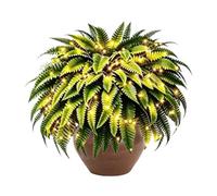 Lighted Artificial Ferns - Outdoor Greenery Decoration - No Watering Needed | Glowing Ferns Decor Home Apartment Indoor Living Room Balcony Outdoor Porch Patio Garden Yard