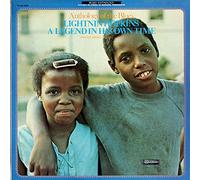 Lightnin' Hopkins - A legend in his own time-Archive series 8 (US) / Vinyl record [Vinyl-LP]