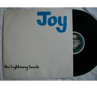 LIGHTNING SEEDS Joy 12"
