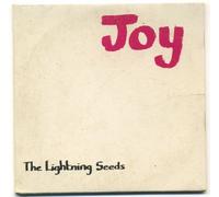 Lightning Seeds - Joy [Single-CD]