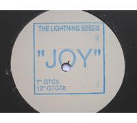 Lightning Seeds - Lightning Seeds Joy 12" GT GT6 EX 1990s 12 inch promo