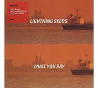 Lightning Seeds - What You Say