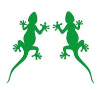 LightningSigns - Adesivi geco per Camper 2 unità 14x8 centimetri (Verde)