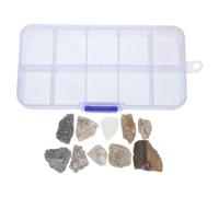 LIGIGWASH 1 Scatola Set di Campioni di Rocce e Minerali per Scienze della Terra, Plastico e Pietra, Scomparti Organizzati per Insegnamento in Aula di Geologia