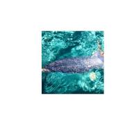 LIGNE CLAIRE EDITION FINE ART COMPOSITION NOTEBOOK. Lavender Dress + Blue Pool. 7.5” x 9.25” Matte Cover. 160 Lined Pages. Everyday Luxury. From the Archives of Artist Jeanne Conte: Everyday Luxury