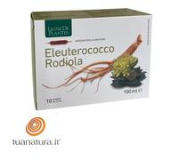 Ligne de Plantes ELEUTEROCOCCO RODIOLA 10 ampolle da 10 ml