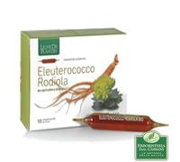 Ligne de Plantes Eleuterococco Rodiola BIO 10 Ampolle