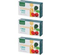 Ligne De Plantes Vitamina C 500 Mg + Zinco Acerola E Manna Di Bambu' 6