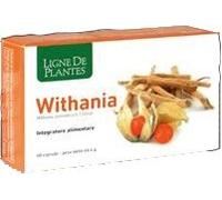 ligne de plantes Withania 60 Capsule Nse