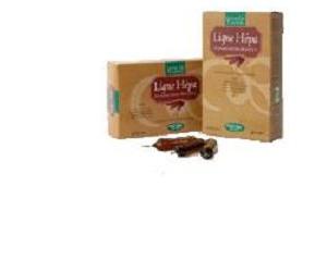 LIGNE HEPA 20AB 15ML