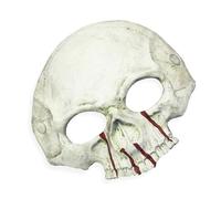 LIGSLN Mezza faccia di scheletro del cranio di Halloween per i regali di schiuma dell'unità di elaborazione del