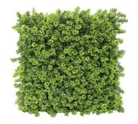 LIGUORO SHOP Pannello Piante Artificiali da Parete, Siepe Sintetica 3D, Resistente ai Raggi UV, per Interno ed Esterno, cm 50x50-50x100 e 100x100 (MOSSY cm 50x50)