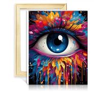 LiHEQING Kit di pittura con i numeri, per adulti, pittura con i numeri, per decorare le pareti di casa, regali con cornice (30 x 40 cm)