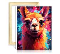 LiHEQING Kit per pittura con i numeri, con tela di alpaca, per bambini e adulti, progetti artigianali per la casa, con cornice (30 x 40 cm)