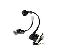 LiiZZi Bobina di accensione 148F Adatta for MZ80 149F 1800i DC 24V 1.8KW 2.2KW Generatore Inverter 4 Tempi Gruppo elettrogeno Accenditore Statore Solido Accenditore