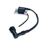 LiiZZi Bobina di accensione GX100, Parti compatibili con Magnete, Adatte for G100 EG650 EM500 EM600 G100K2 2.5HP 30500-ZG0-W01