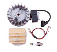 LiiZZi Bobina di accensione, volano, Filtro Aria, Tappo, Adatto for Motosega 445, 445E, 450, 450E, Ricambio for attrezzo da Giardino.