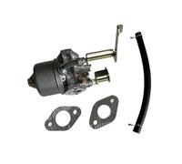 LiiZZi Carburatore con Guarnizione 'Olio Adatto for Pompa da 79 Engine Size 69747 99 Engine Size 68328 98013 da 1,5 Pollici 2,5 CV